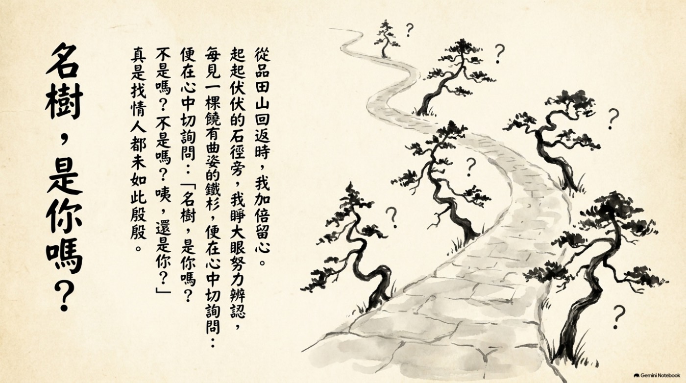 百岳行旅 武陵三秀 故事簡報 第 9 頁