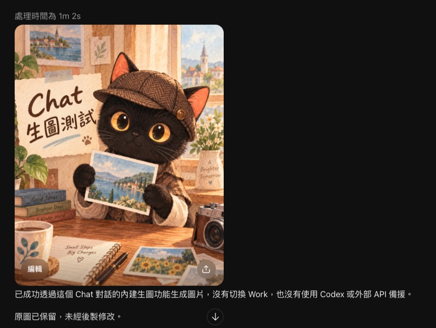 同一張圖在 Chat 畫面裡的樣子